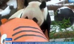 百万姐姐爆料视频大全,揭秘娱乐圈幕后真相